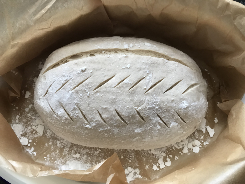 No knead sourdough pre-bake scoring pattern