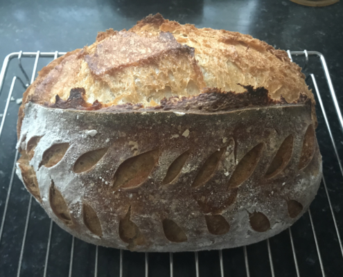 No knead Sourdough