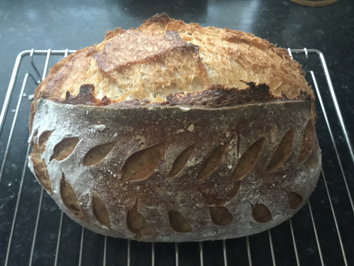 No knead Sourdough