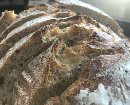 sourdough bread guides