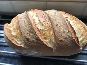 Soft white sourdough loaf staright from the oven