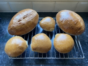 sourdough rolls