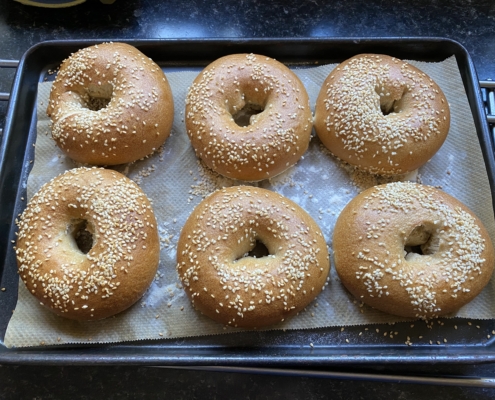 Sourdough bagels covered in sesame seeds